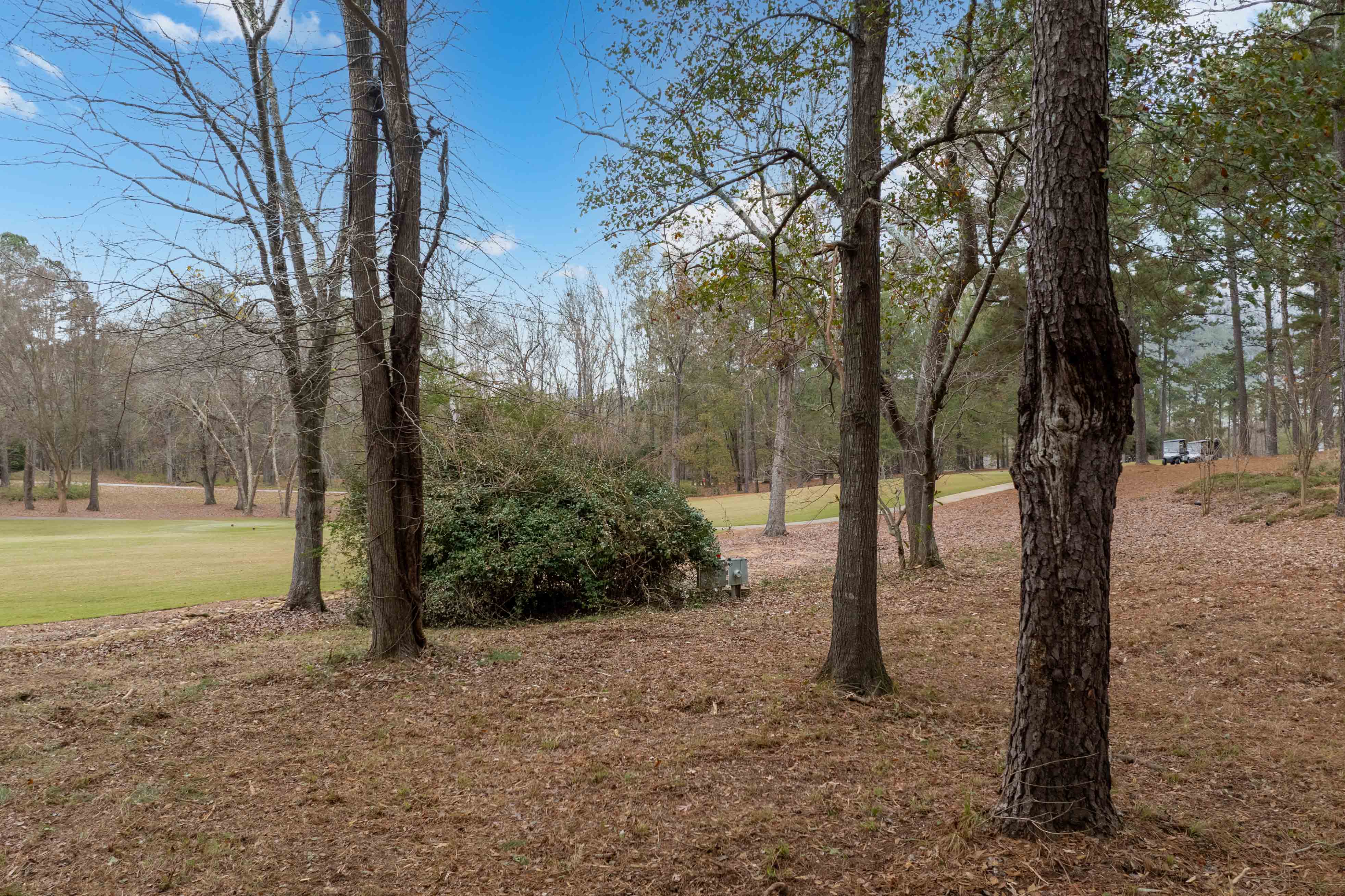 164 Hopeton Lane image 8